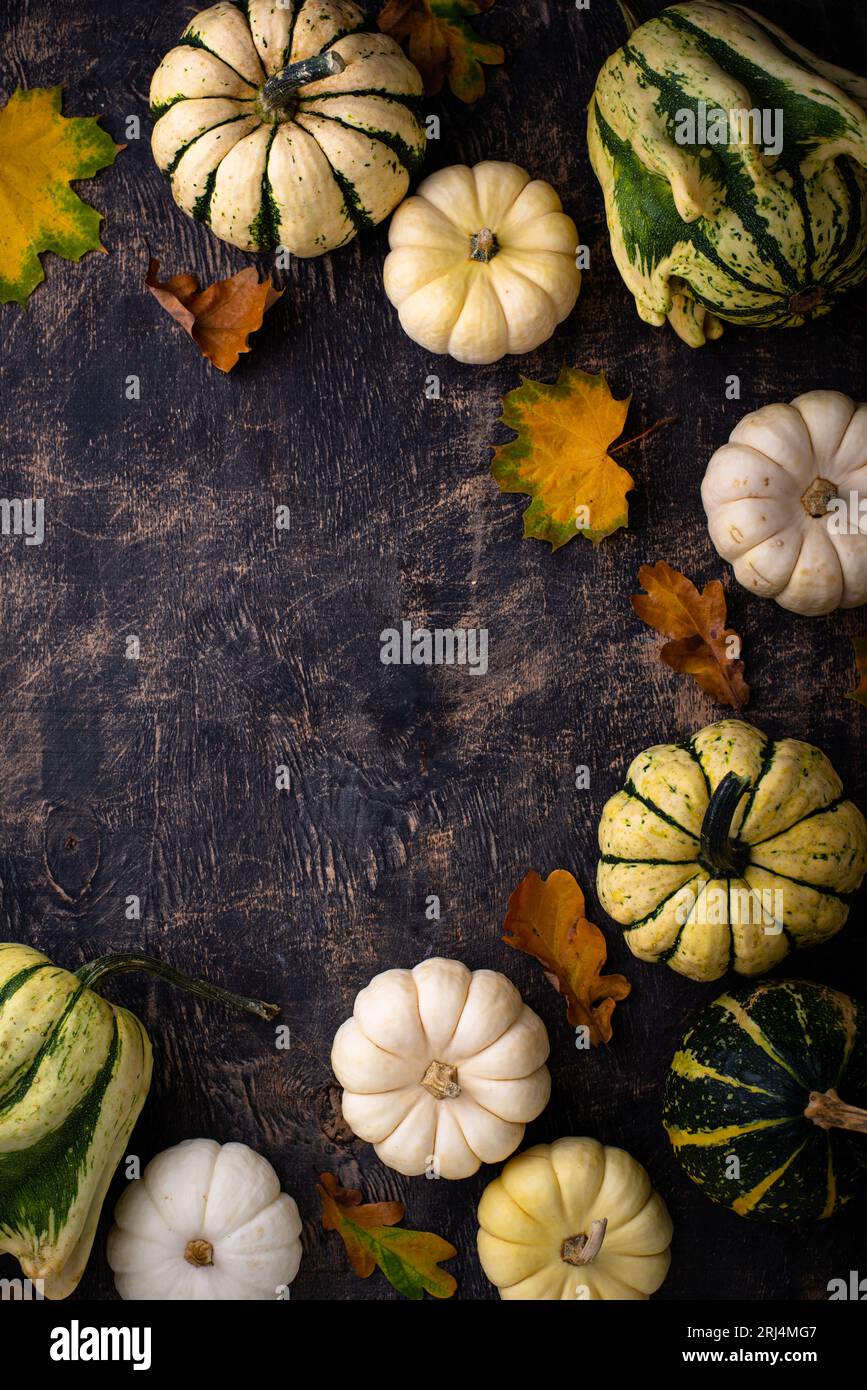 Autumn fall background with pumpkins Stock Photo - Alamy