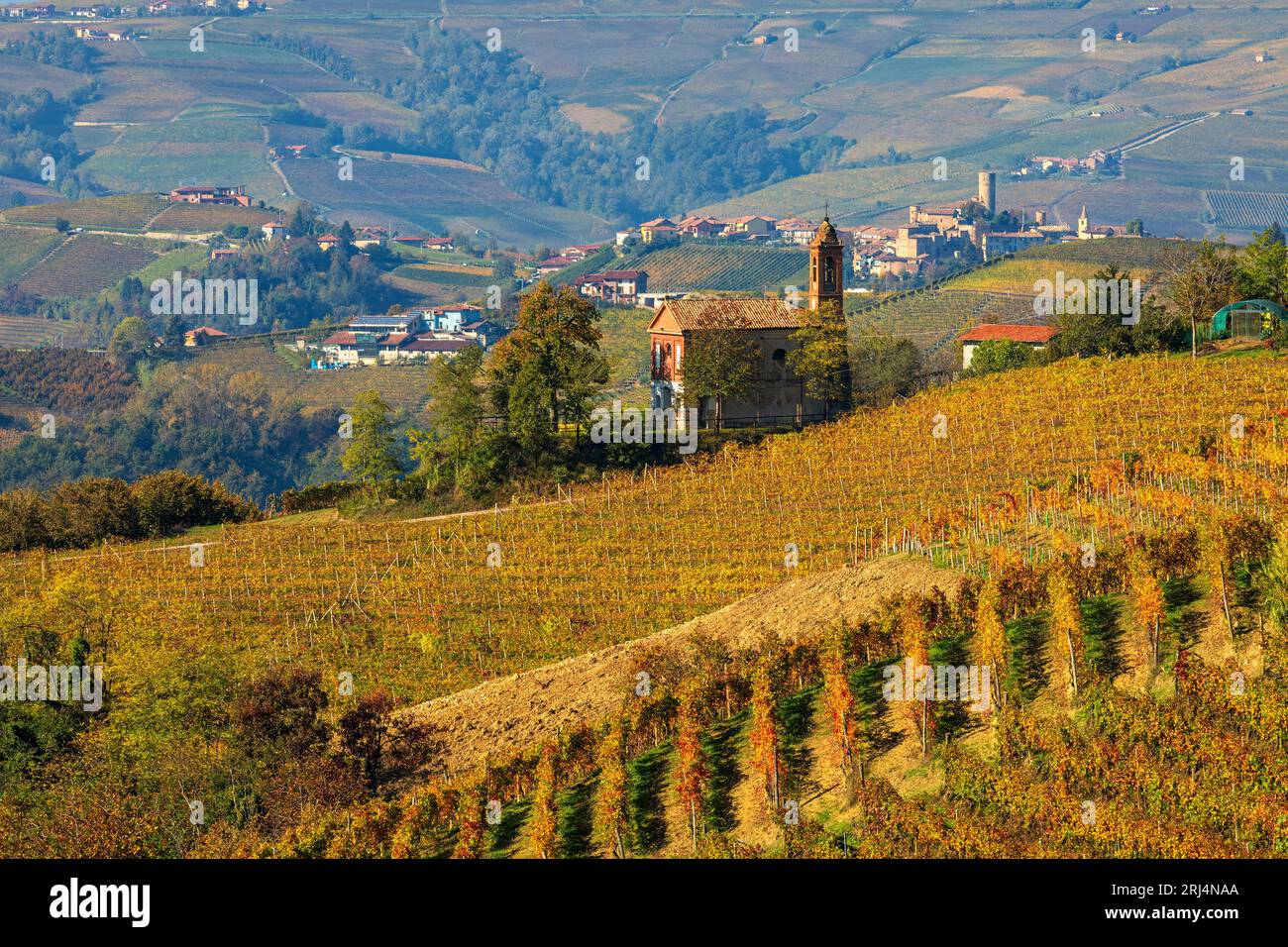 Colorful autumnal vineyards and small chapel on the hills of Langhe in Piedmont, Italy. Stock Photo