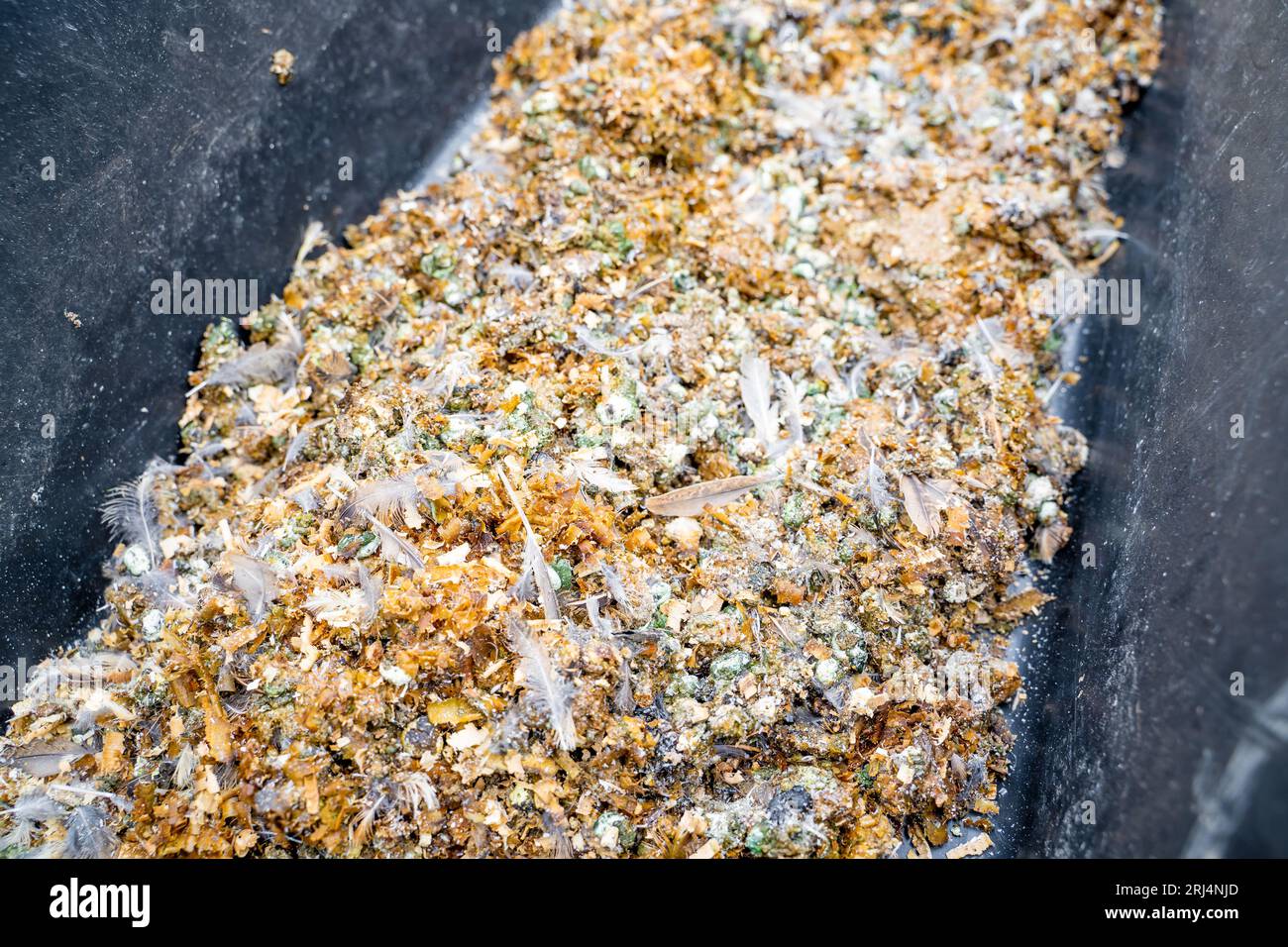 Closeup of a plastic container with bird droppings mixed with sawdust