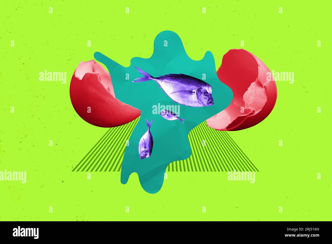 Creative template collage wild fish break chicken egg water inside ...