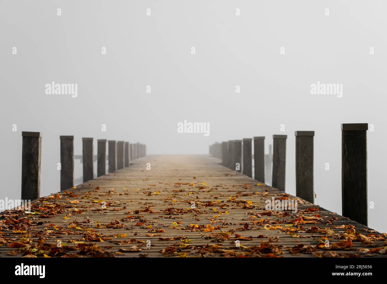 Jetty in the fog. Mystical foggy landscape at the lake. Morning fog in autumn. Stock Photo