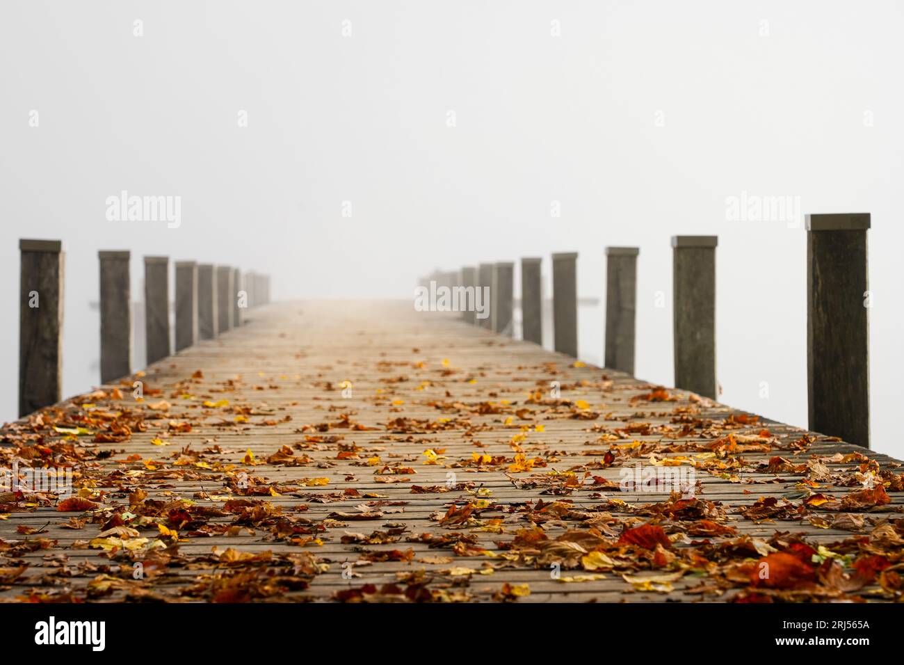 Jetty in the fog. Mystical foggy landscape at the lake. Morning fog in autumn. Stock Photo