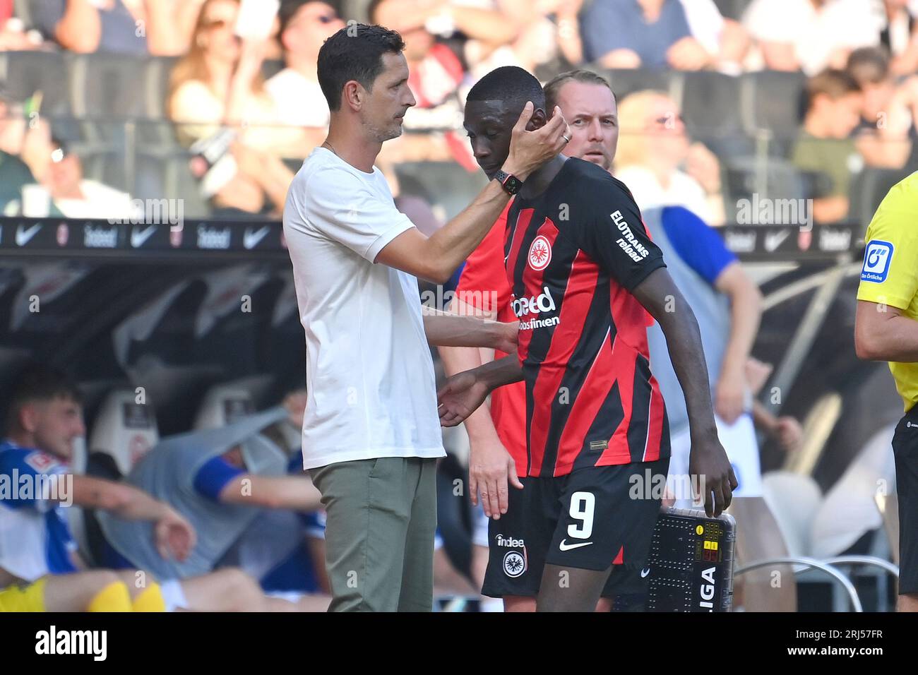 frankfurt-deutschland-20th-aug-2023-dino-toppmoeller-coach