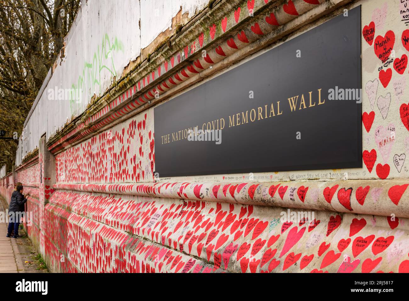 A lady writes on 'The National Covid Memorial Wall' which is a public mural to commemorate the victims of the COVID-19 pandemic in the UK. Stretching Stock Photo