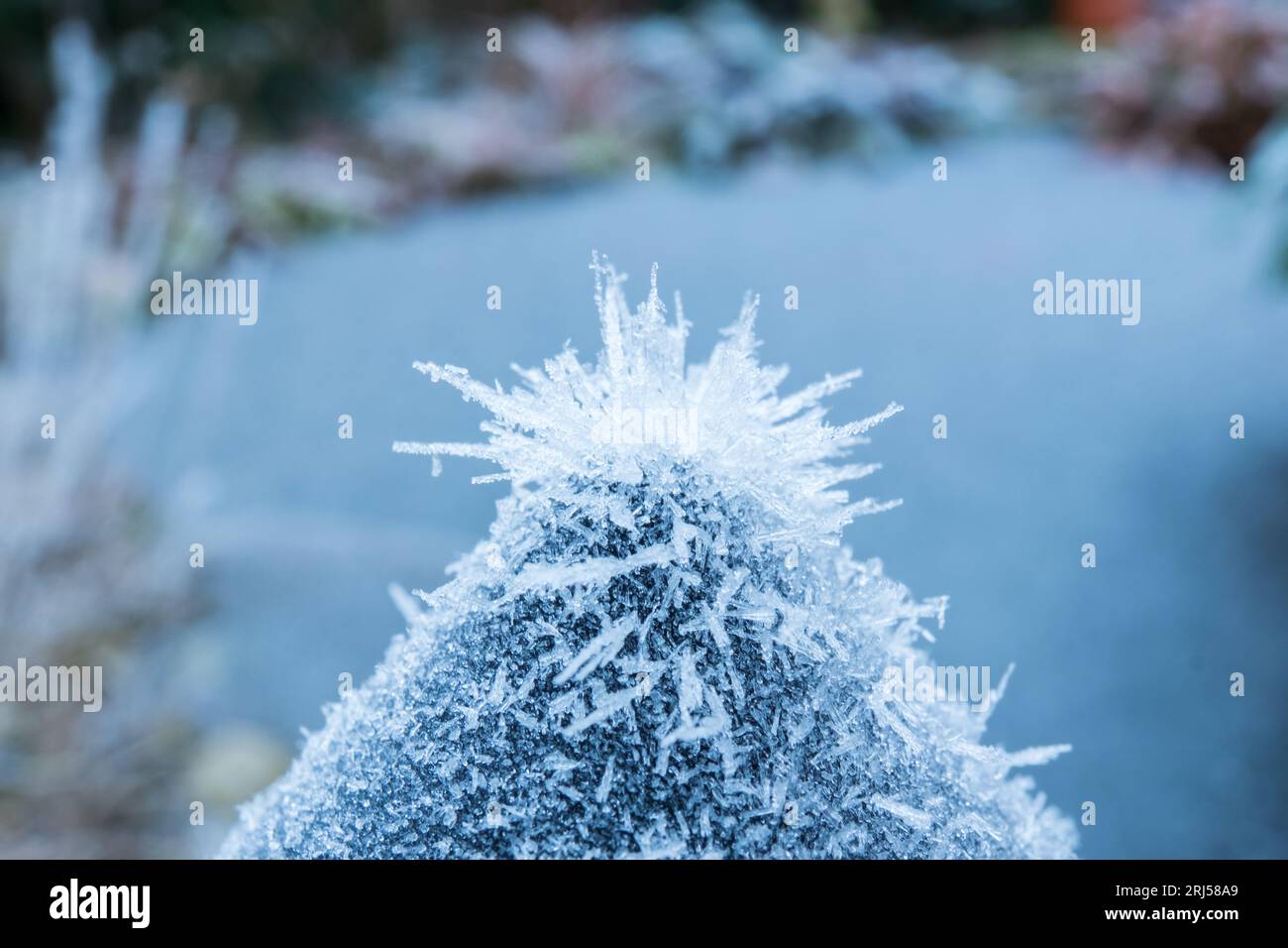 Natural background hi-res stock photography and images - Alamy