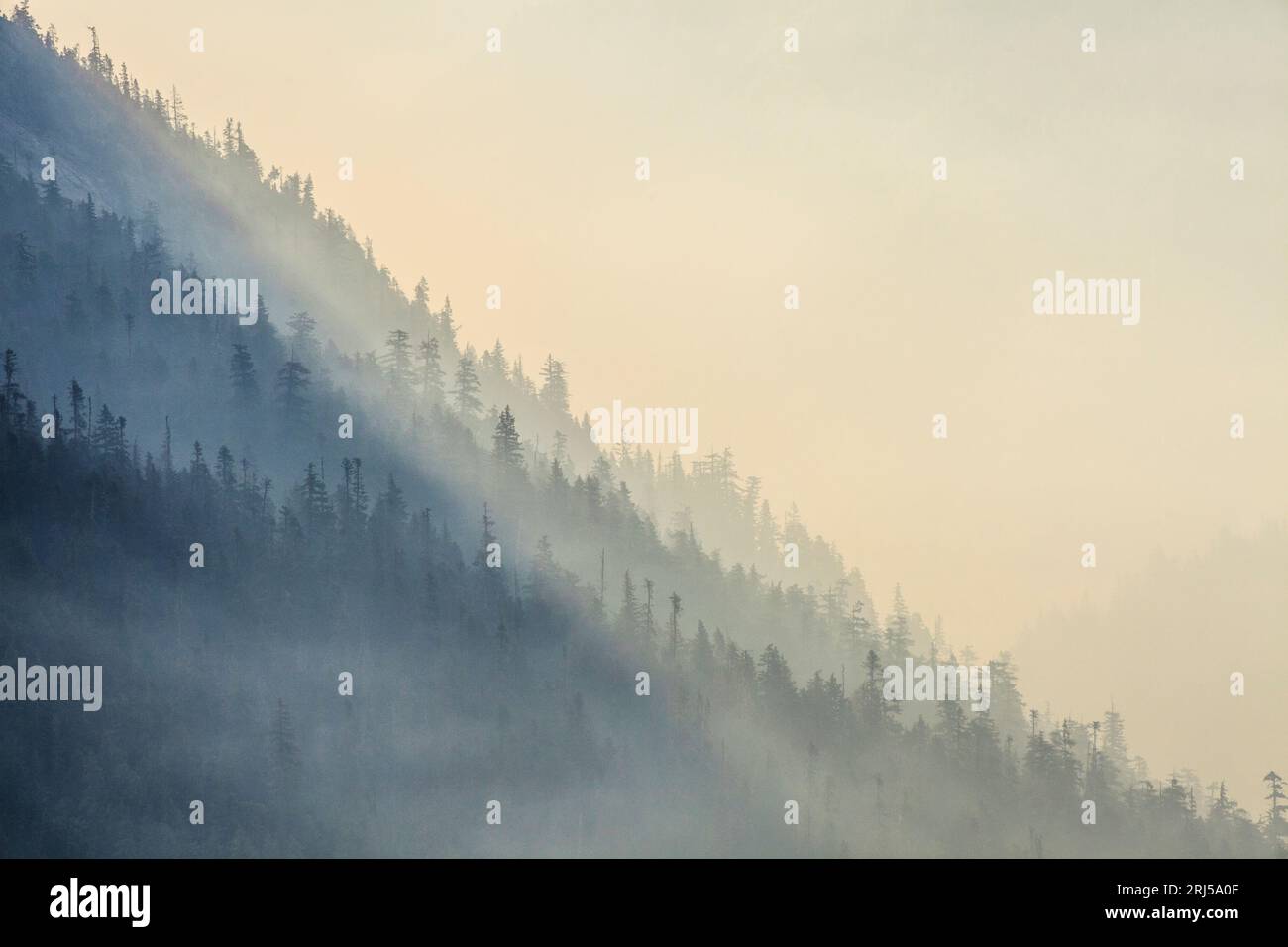 Smoke rises from a forest fire in British Columbia, Canada Stock Photo