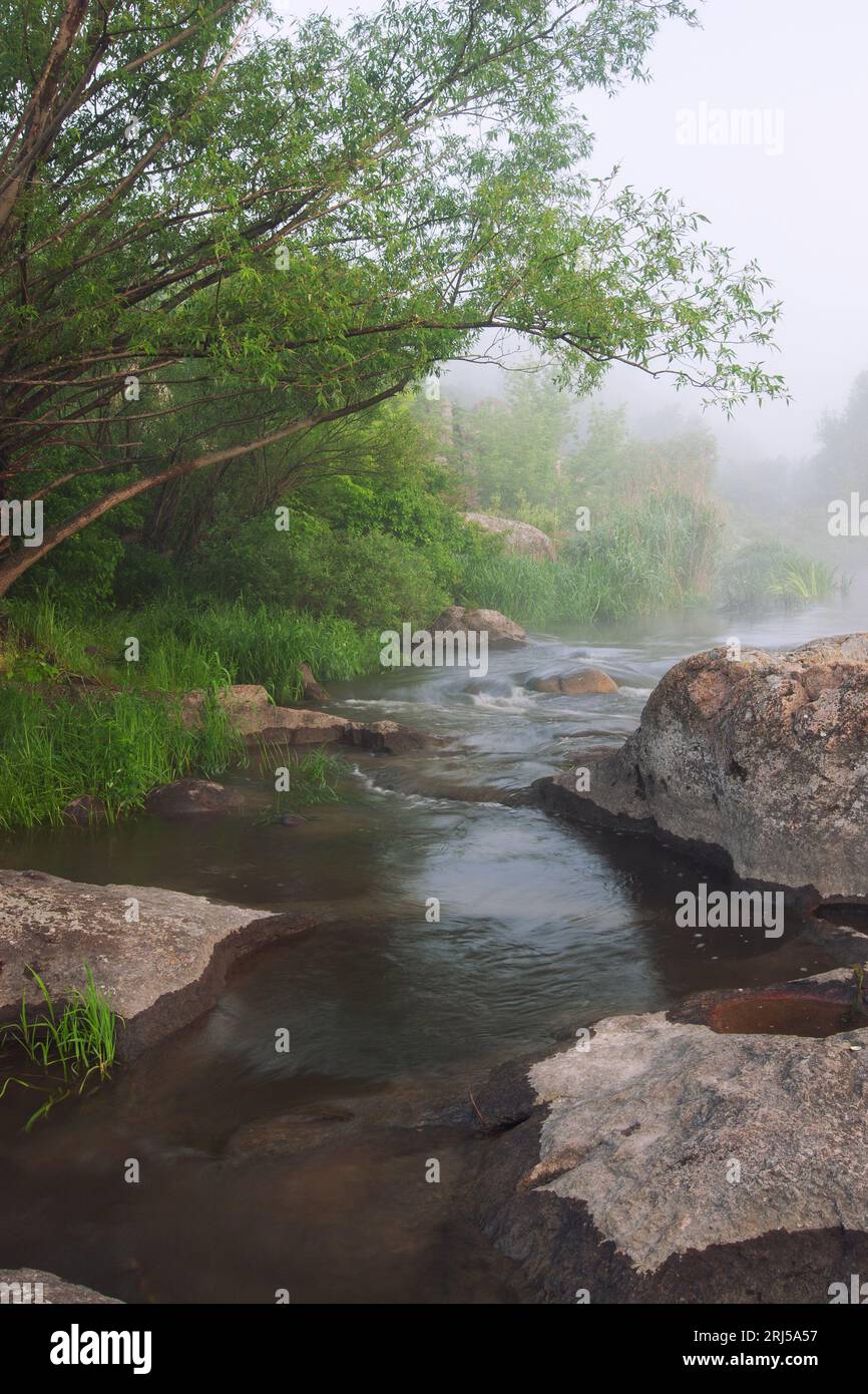 Summer river landscape hi-res stock photography and images - Alamy