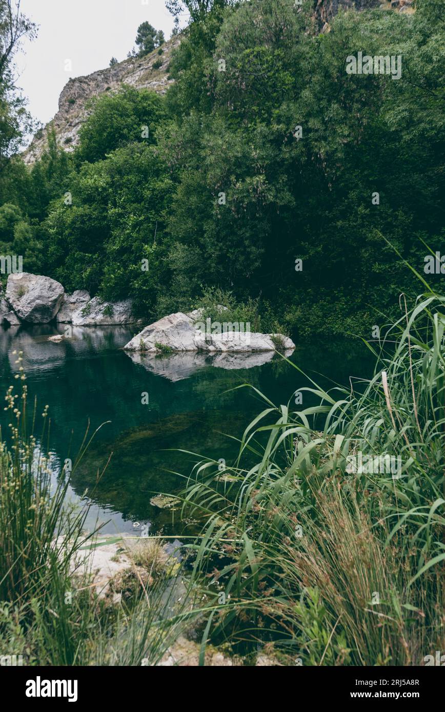 Forest reflection among river rocks hi-res stock photography and images ...