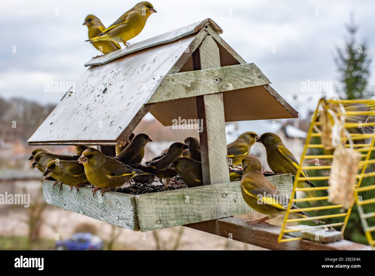 A group of small birds perched on a wooden birdhouse, feasting on the