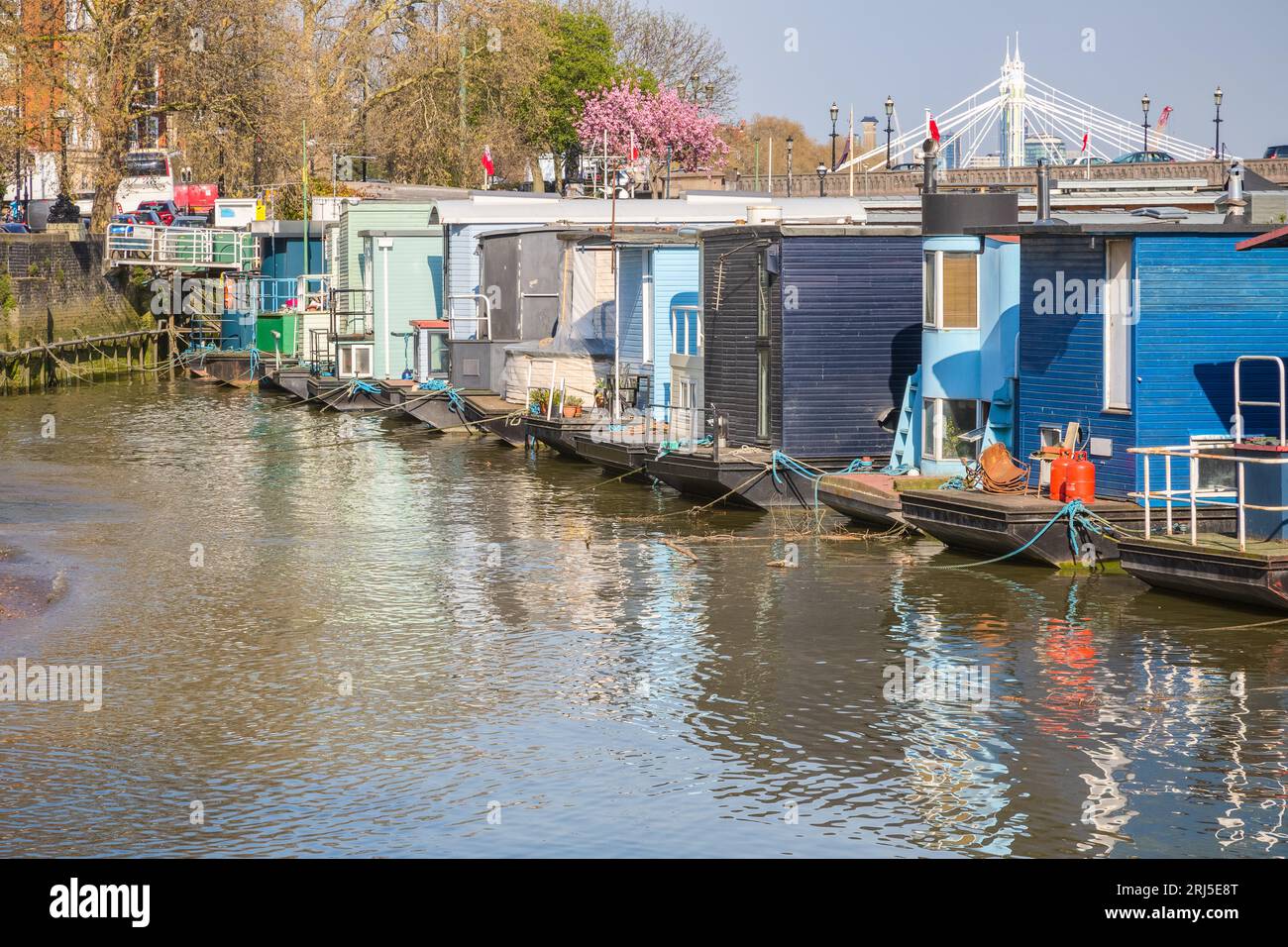 A row of houseboats moored on the banks of the River Thames at Chelsea Reach in London, England