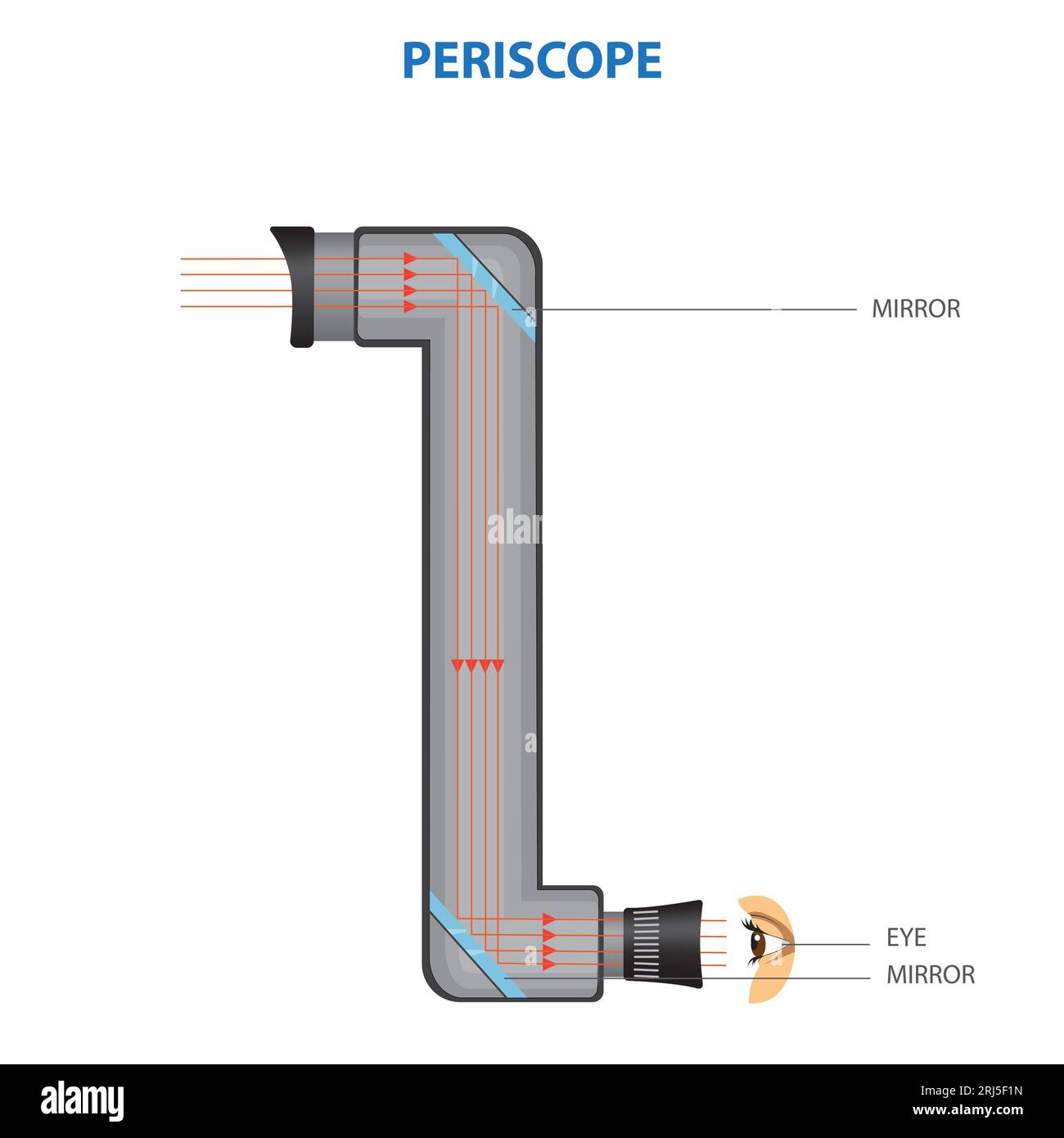 Closeup of a medical professional performing an ophthalmoscopic