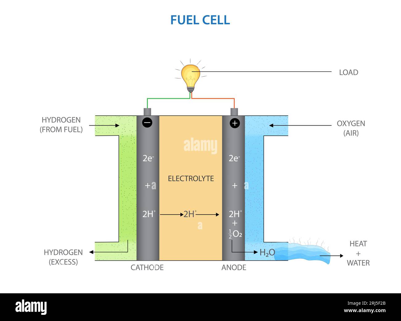 An illustration of a diagram showing the relationship between the energy levels of various cells and their characteristics Stock Photo
