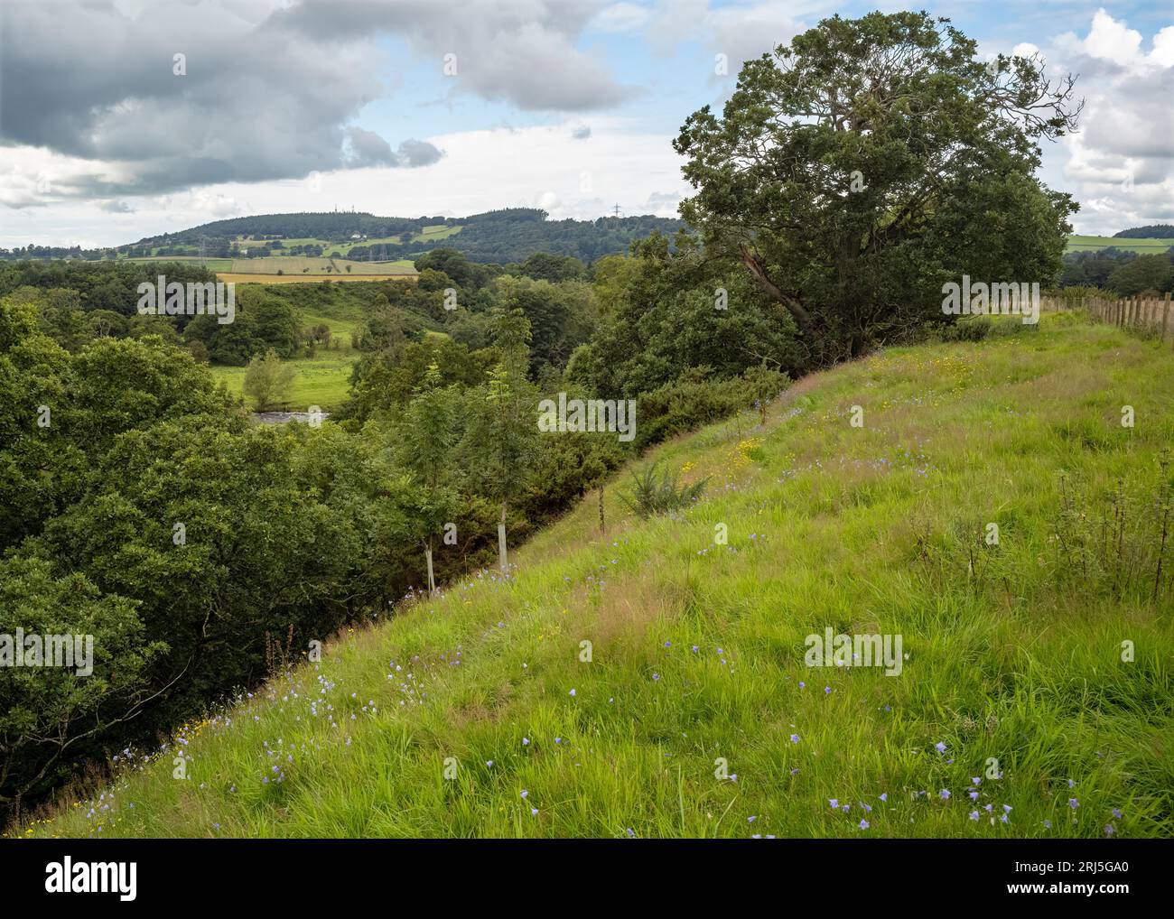 'Off the beaten track' in the Eden Valley, Cumbria, UK Stock Photo