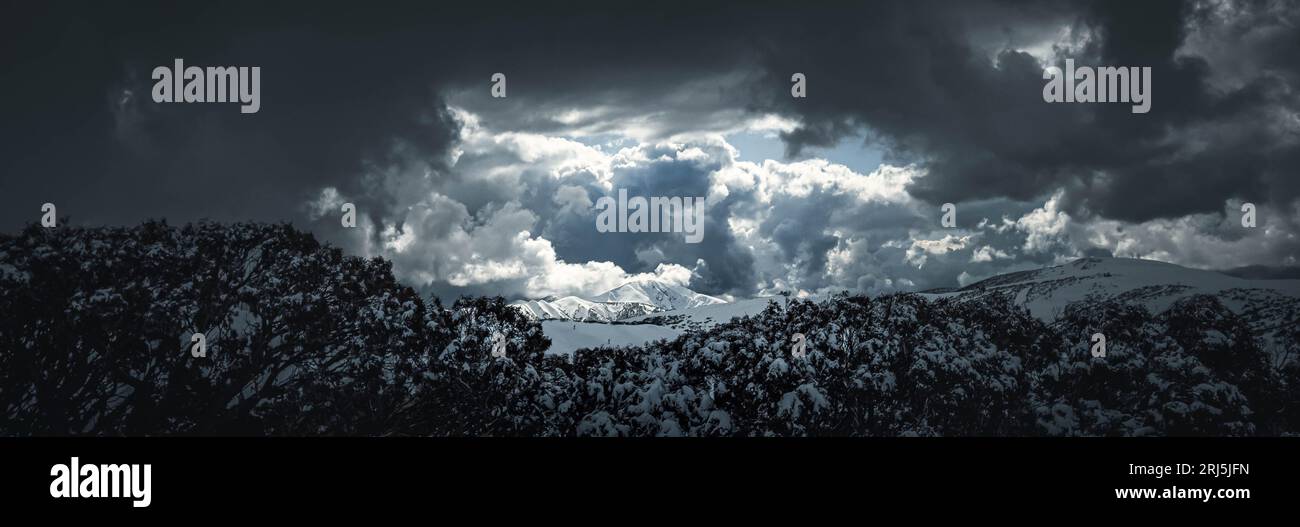 A dramatic winter landscape featuring snow-covered trees in the ...