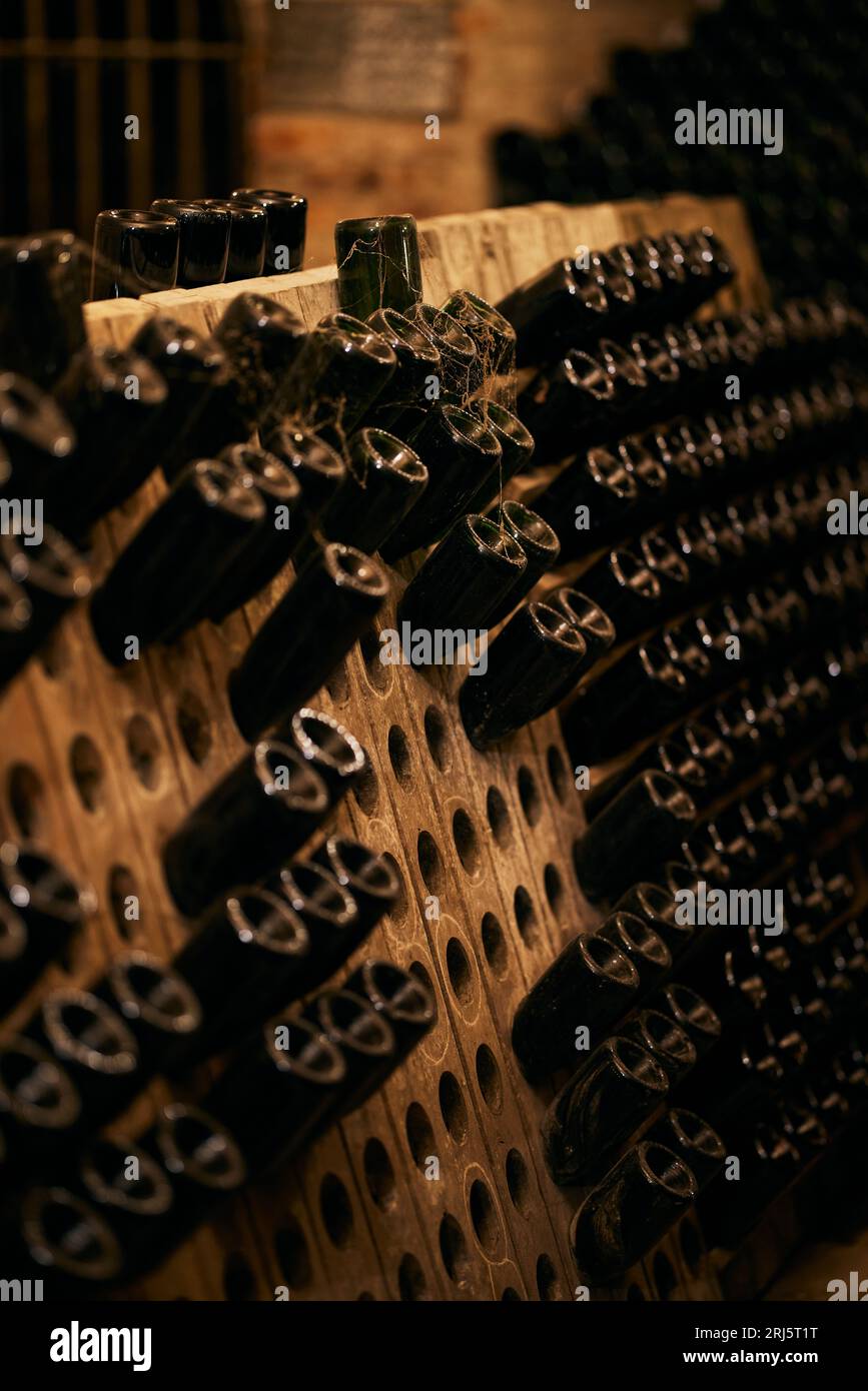 An array of bottles of wine neatly arranged in a classic wine cellar. Stock Photo