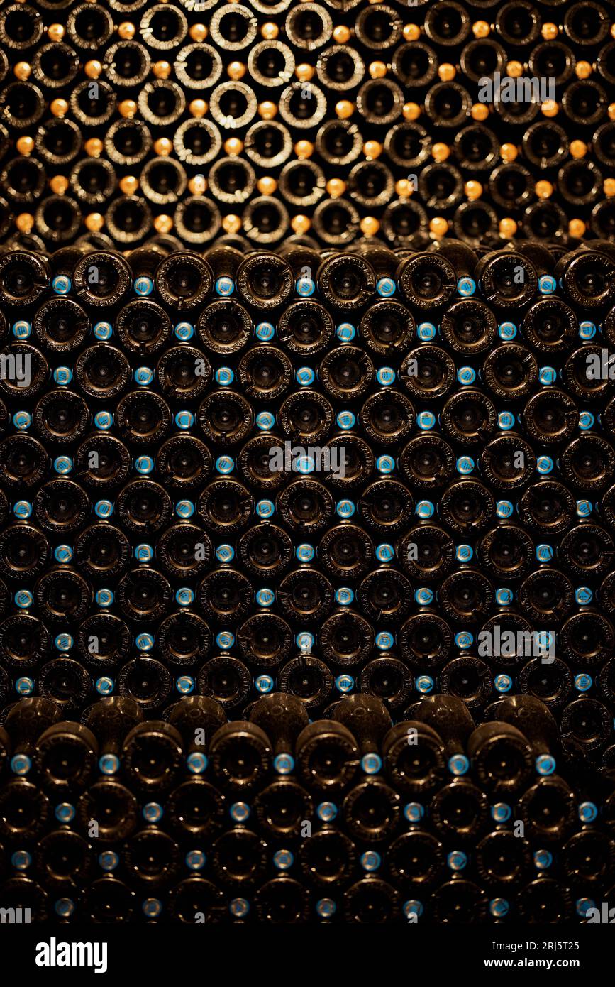 An array of bottles of wine neatly arranged in a classic wine cellar. Stock Photo