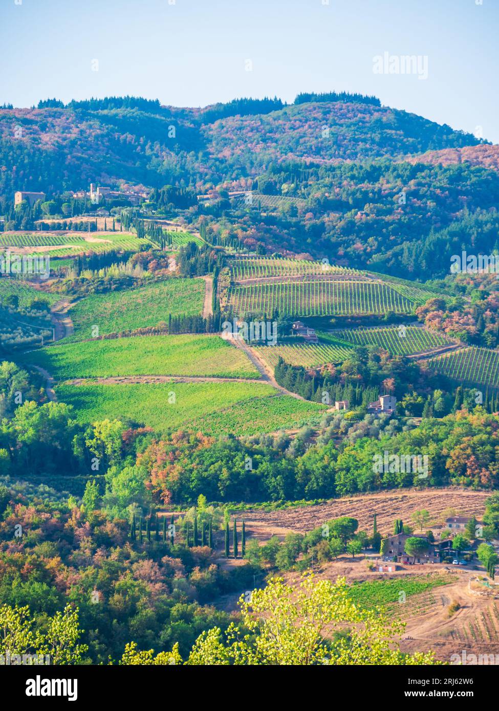 Italian Rural Vinyards Aerial view lush vineyards rural hi-res stock photography and images ...