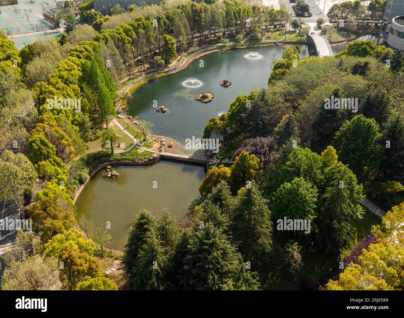 Aerial view of a city park featuring a serene pond and flourishing ...