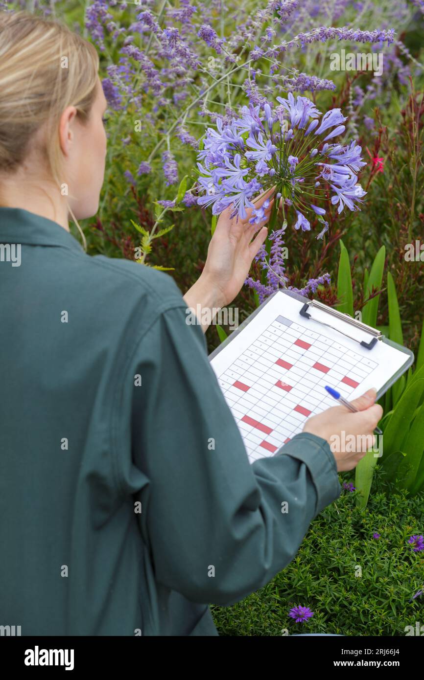 female florist using laptop while holding clipboard Stock Photo