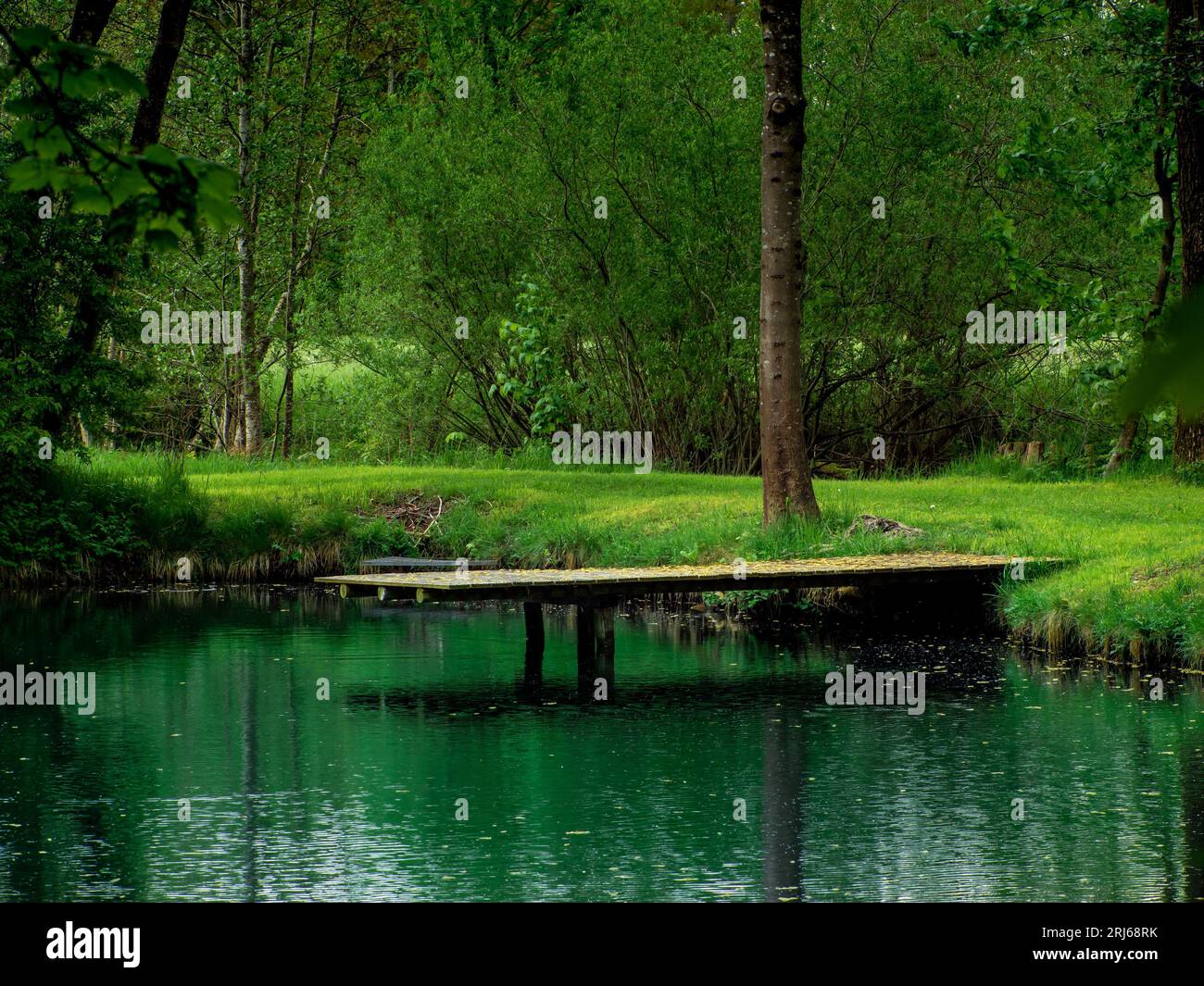 A wooden bridge stretches over a tranquil lake in a lush green park, surrounded by trees Stock Photo