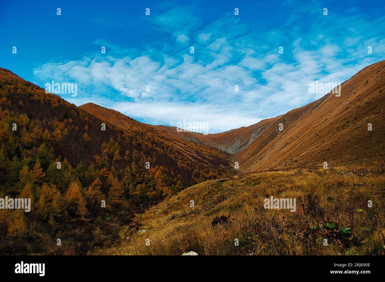 A breathtaking view of a stunning mountain valley with lush greenery ...