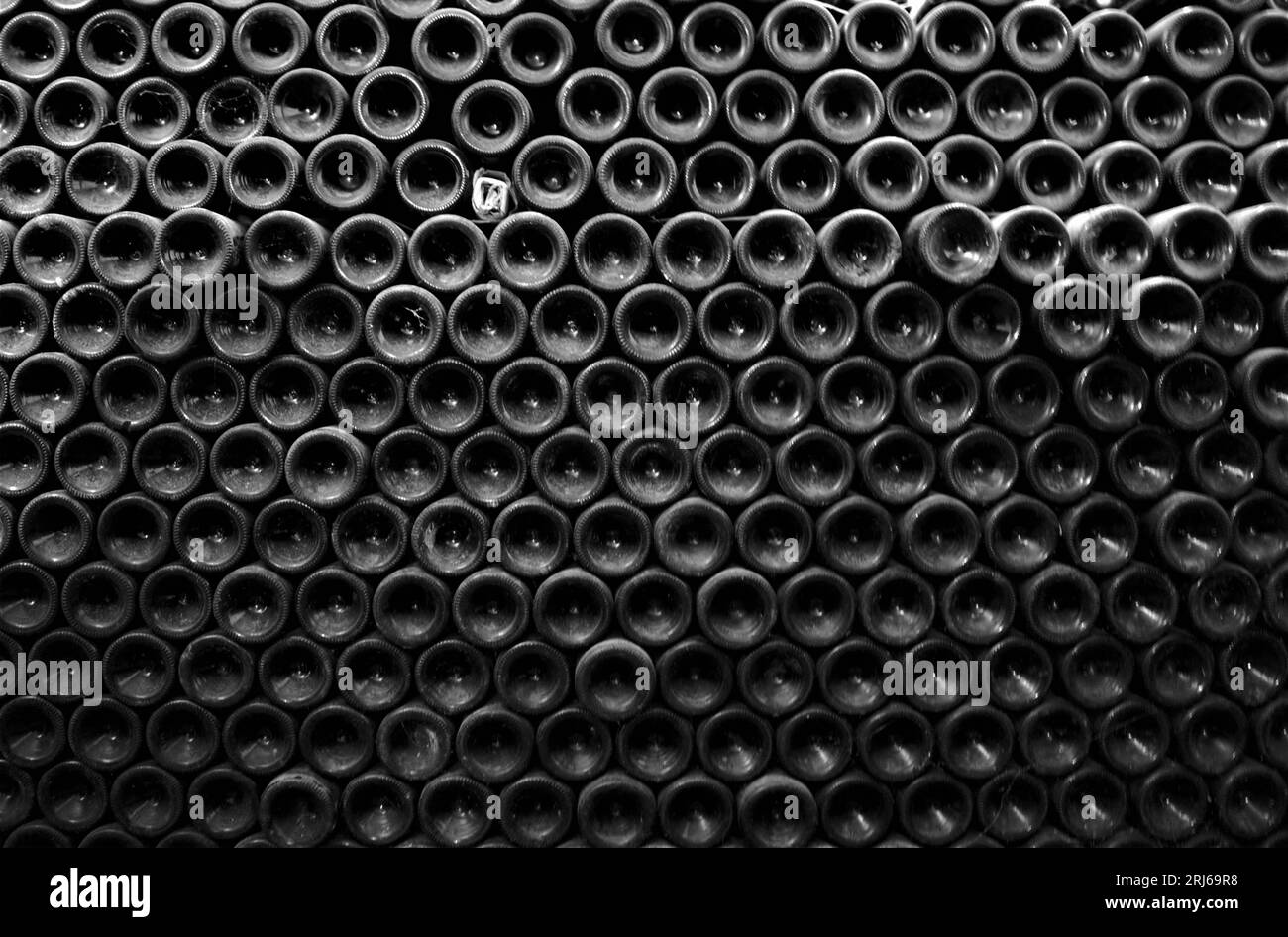 A high contrast black and white image of a large selection of wine bottles in a retail setting