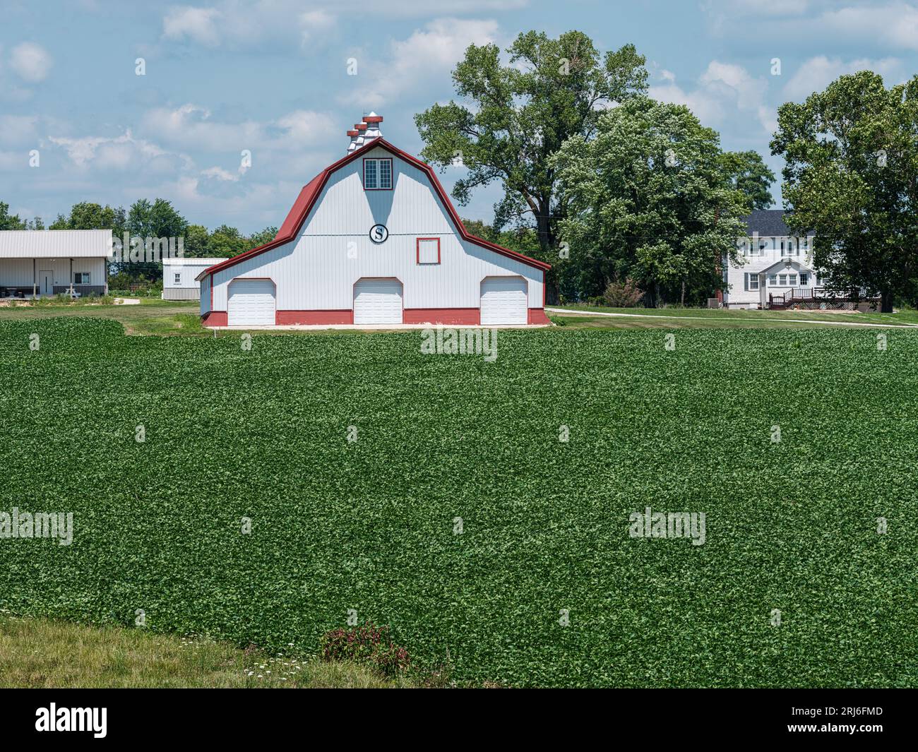 Midsummer agricultural field bursting with greens with stylish farmhouse and barn in Missouri Stock Photo
