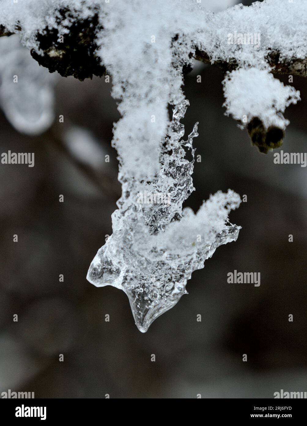 Snow Ice Pattern Intricate snow patterns hi-res stock photography and images - Alamy
