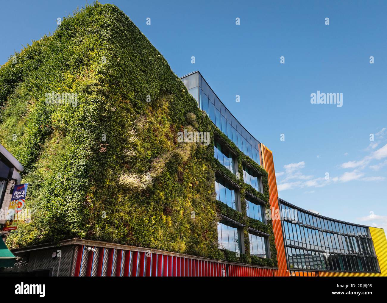 Living wall and green facade, planted building exterior, MTV Studios, Camden, Camden Town, London, England Stock Photo