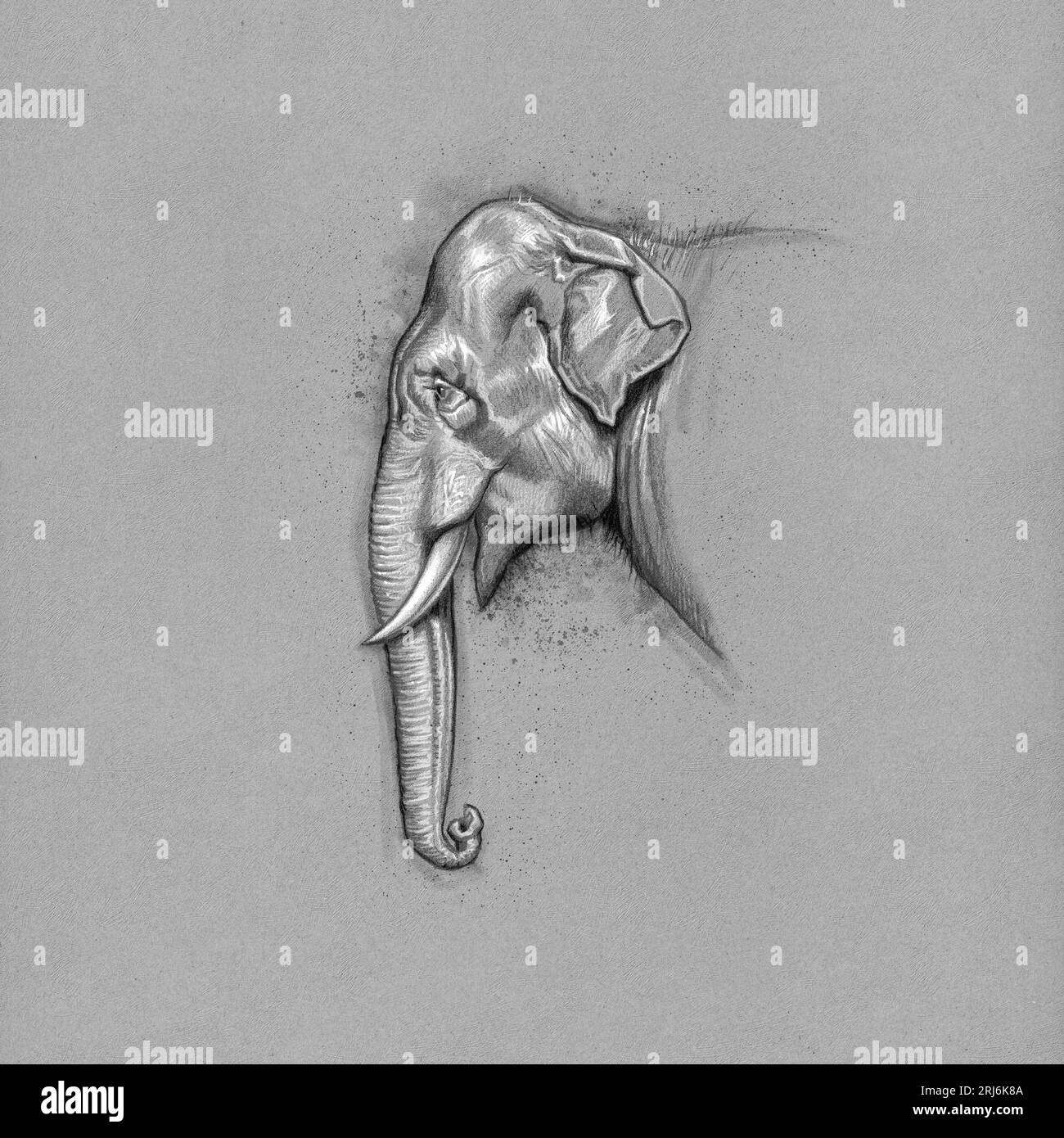 Elephant Face Pencil Drawing