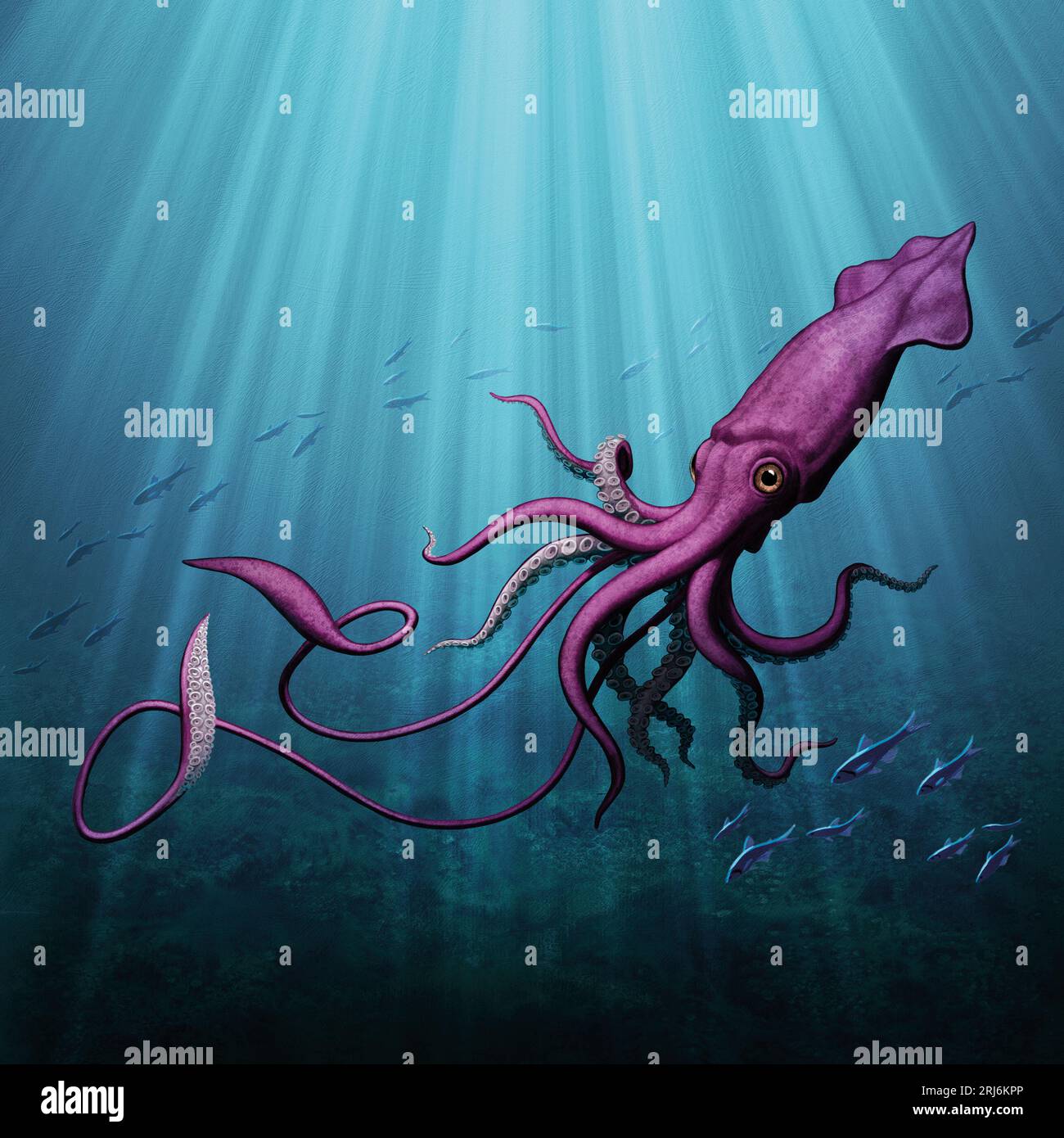 Giant Squid Swimming Under Water with Light Beams Stock Photo