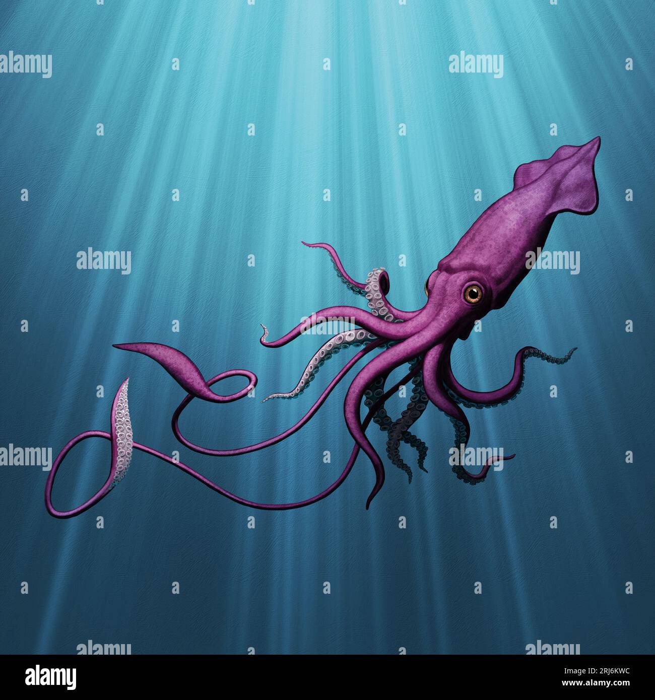 Giant Squid Swimming Under Water with Light Beams Stock Photo