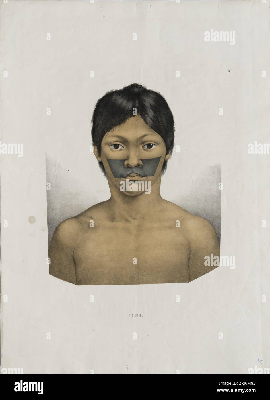 Iuri 1823 by Johann Baptist von Spix Stock Photo Alamy