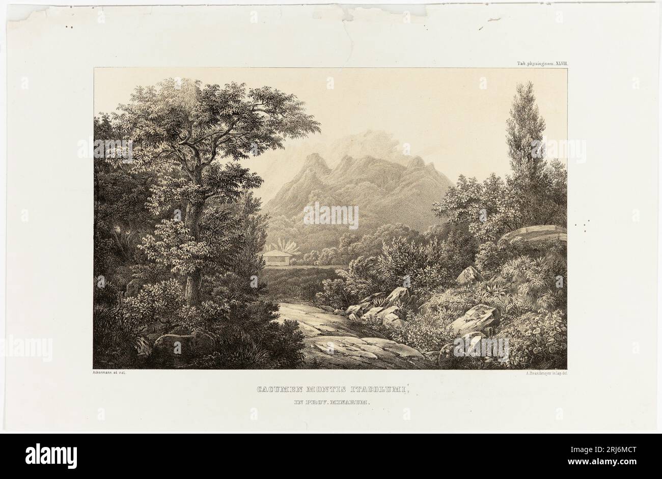 Cacumen Montis Itacolumí, in Prov. Minarum presumably 1855 by August W. Eichler Stock Photo