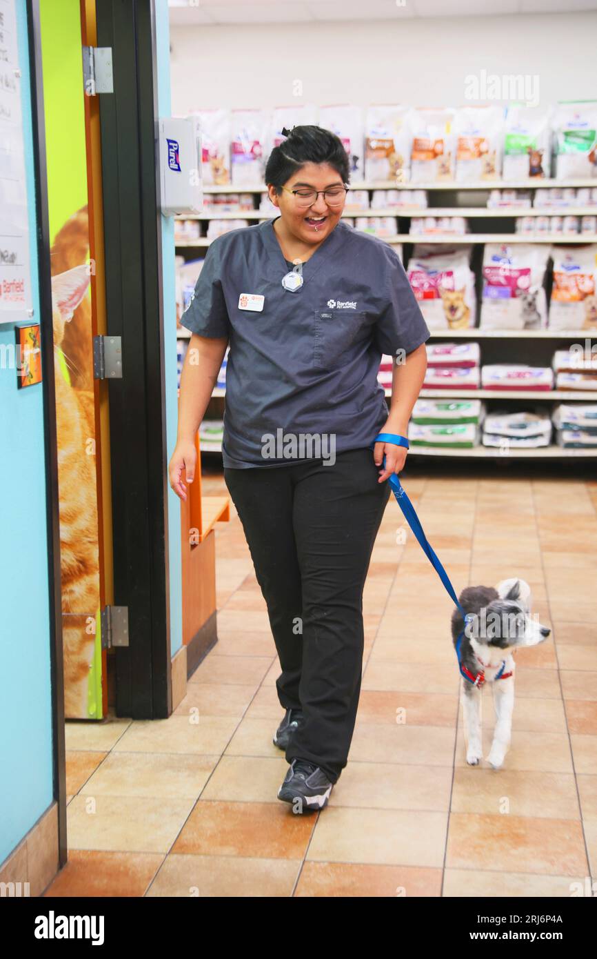 companion animal pittsford animal hospital urgent care