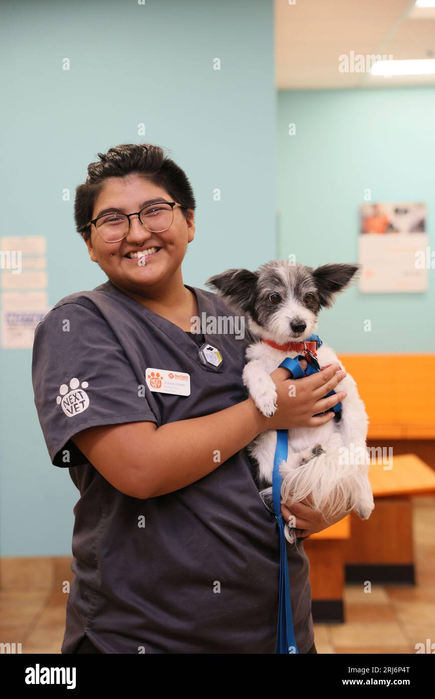 Pet Care Affordable Preventive Vet Clinic Veterinary Services Low