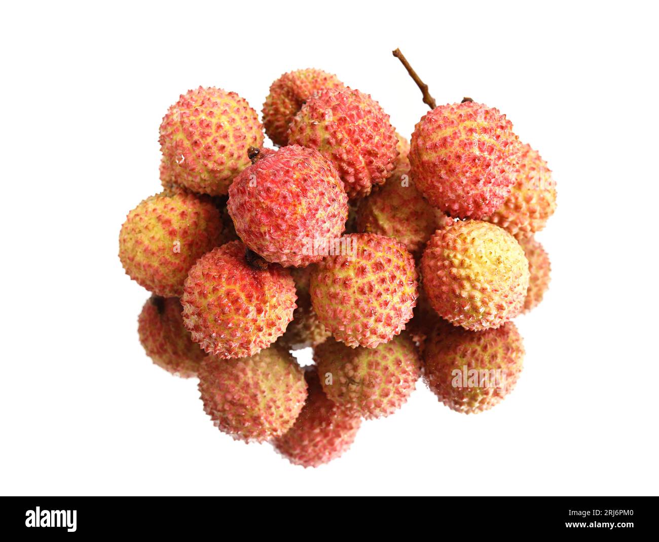 Litchi light 2024