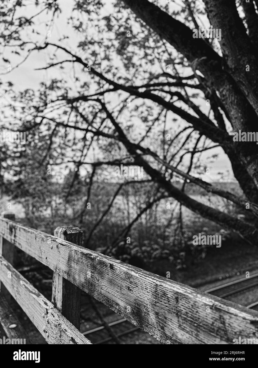 A grayscale of a rustic wooden rail fence in a rural setting Stock Photo