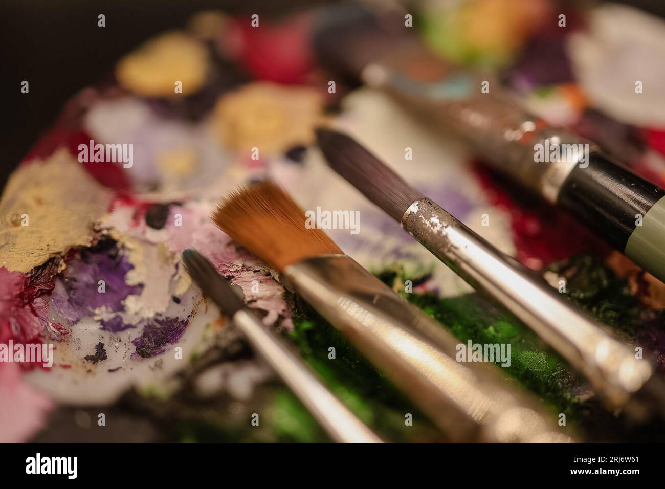 Different sizes of oil paint brushes on display Stock Photo Alamy