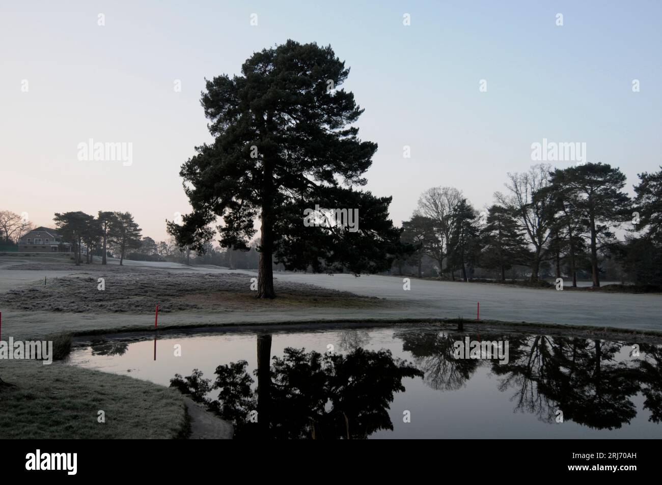 Early morning view over Pond with reflections between 1st and 18th