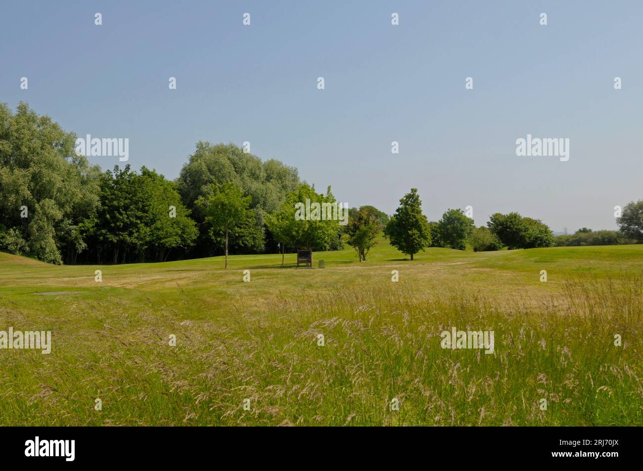 View over Fescue Grass to 10th Green, Mardyke Valley Golf Club, South