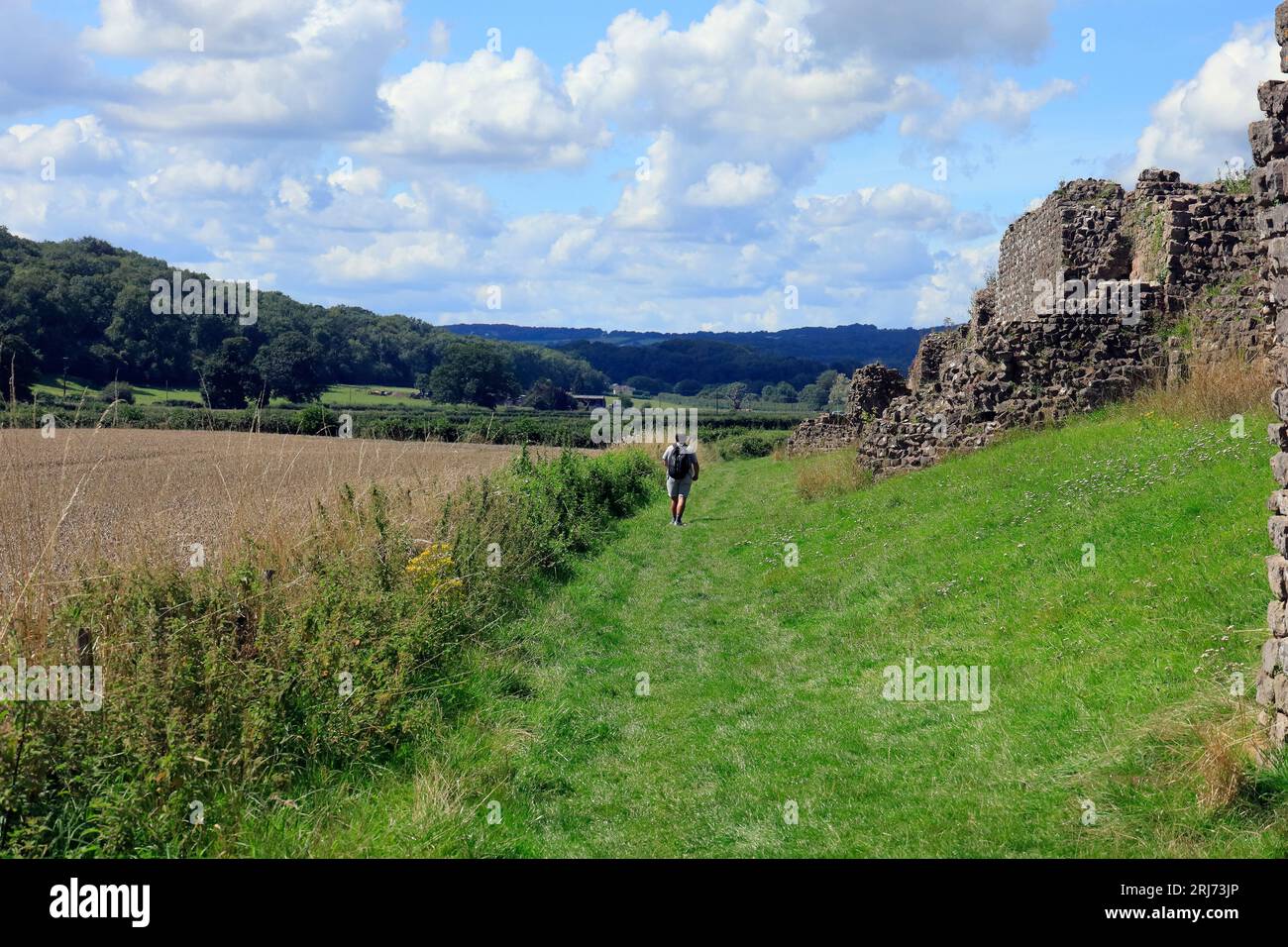 Walker enjoys path alongside well preserved and impressive Roman walls surrounding Venta Silurum