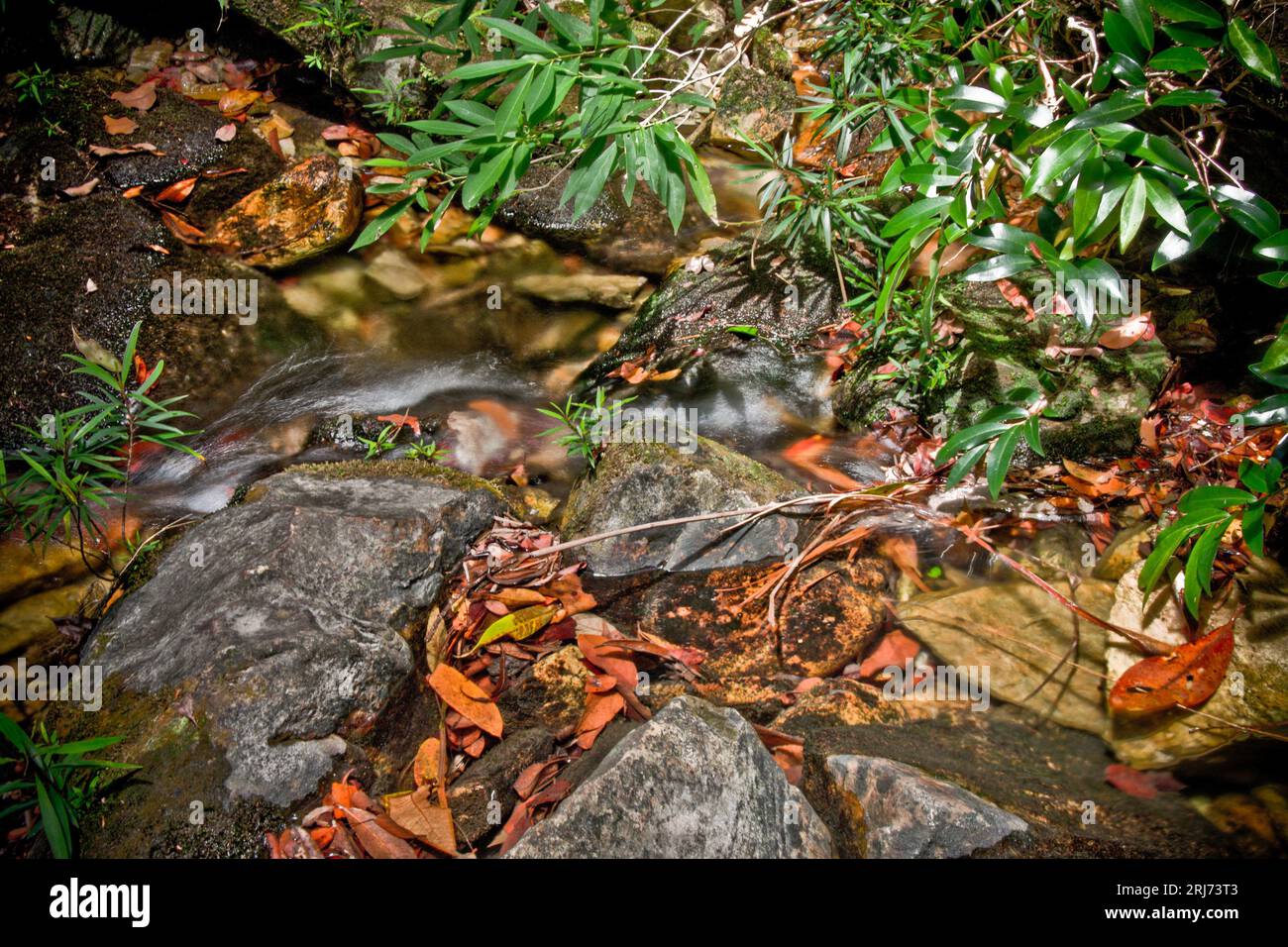 Small stream of water flowing down over rocks Stock Photo - Alamy