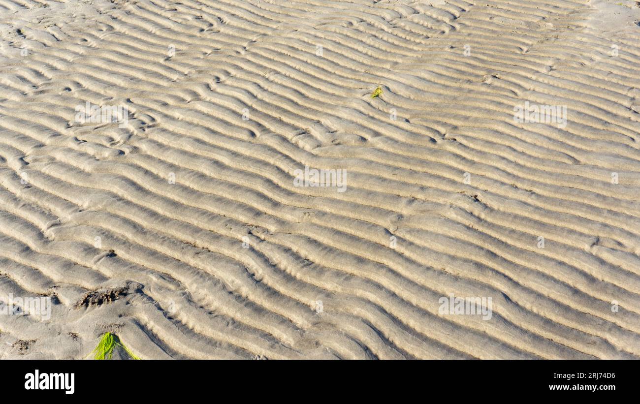 A natural pattern created by the sea. Photos of undulating sea sand ...
