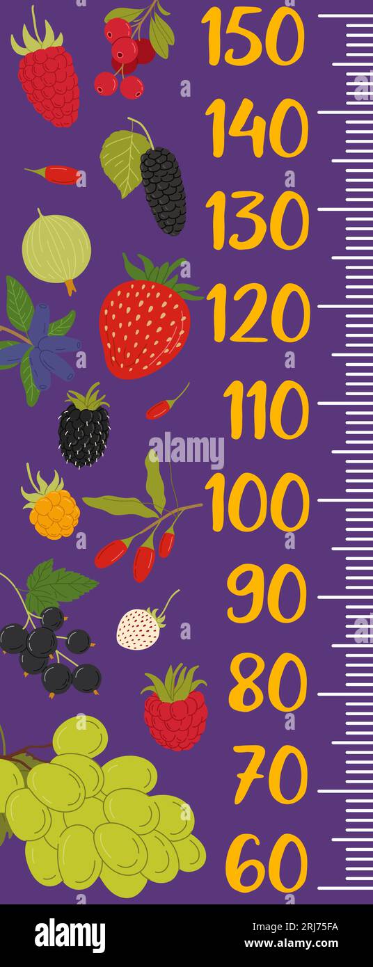 Kids height chart measure ruler forest and garden berries. Vector growth meter, wall sticker for