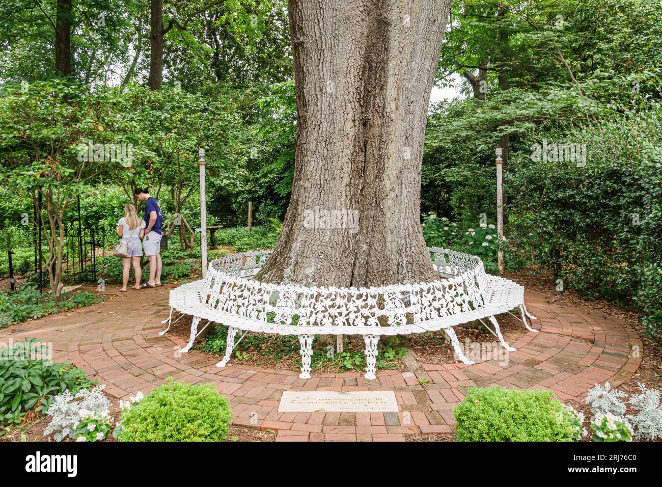 Charlotte North Carolina,Myers Park,Ridgewood Avenue,Wing Haven Gardens