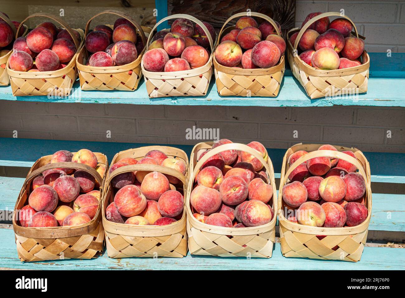 York South Carolina,The Peach Tree,baskets produce peaches,business shop merchant market marketplace,selling buying,shopping shopper economy Stock Photo
