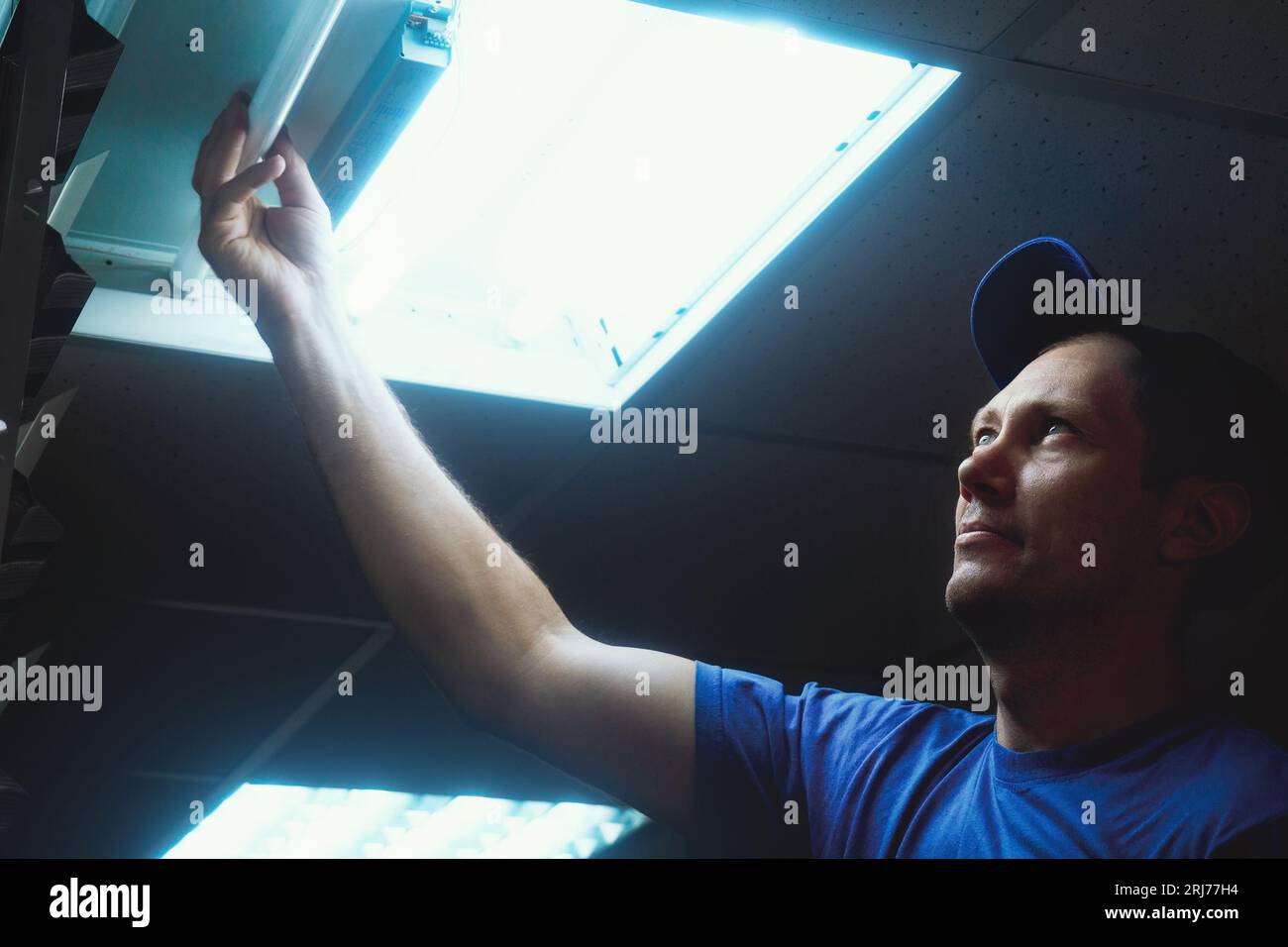 Professional electrician changes fluorescent lamp in ceiling lamp ...