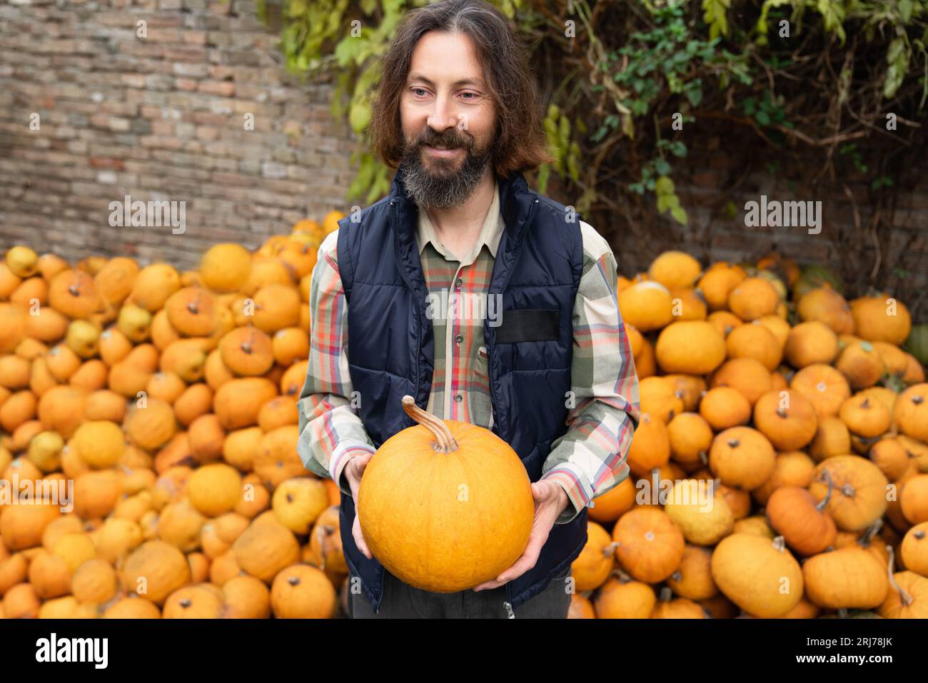 Bearded farmer with pumpkin on a background of a pile of pumpkins. Stock Photo