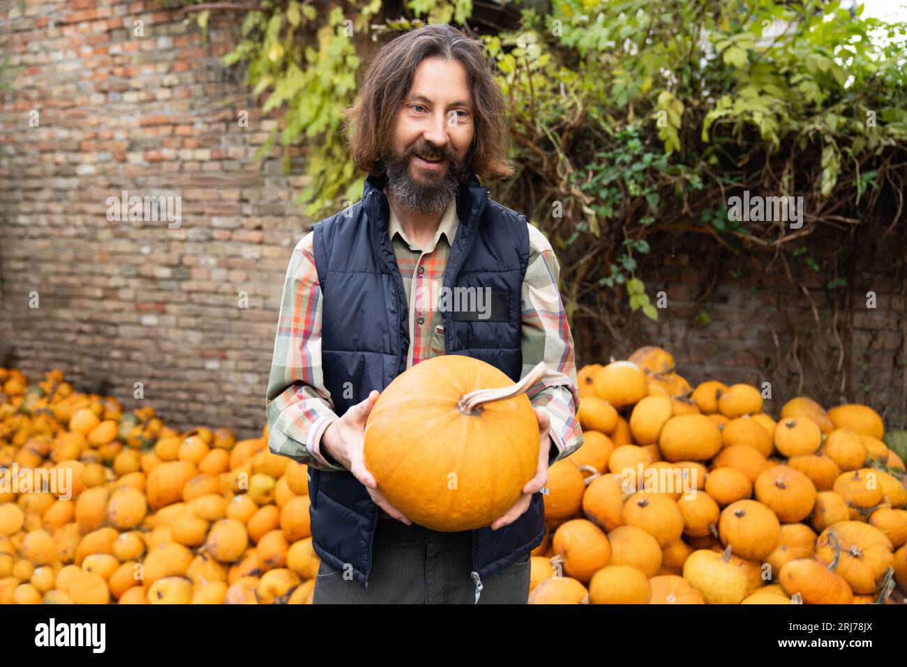Bearded farmer with pumpkin on a background of a pile of pumpkins. Stock Photo